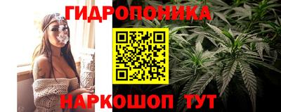 тгк Заволжье