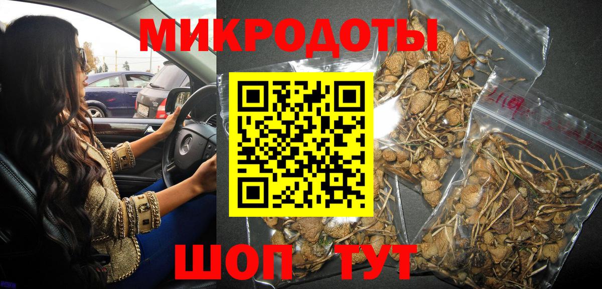 Майкоп  Галлюциногенные грибы Psilocybine cubensis  Галлюциногенные грибы мухоморы  Вход с VPN 
